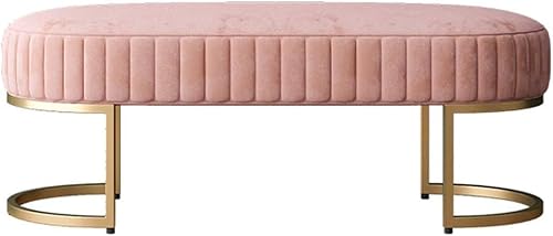 CATANK Flur/Eingangsbereich, Sitzbank, Schrank, Sofa und Hocker aus Eisen, Kissen aus dickem Schwamm, für Eingang und Badezimmer, Tragkraft 150 kg (Farbe: Rosa, Größe: 100 cm)